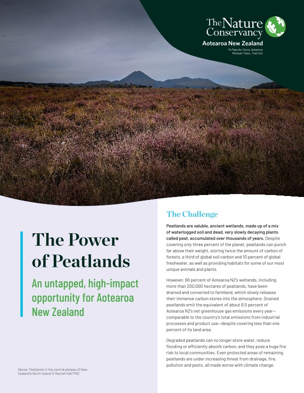 Cover of the peatlands restoration fact sheet.