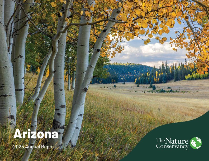 View of water flowing over rocks in a creek.