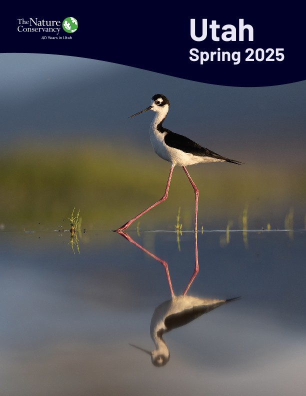 Cover of the 2025 TNC Utah spring newsletter.