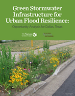 Cover of GSI Report.