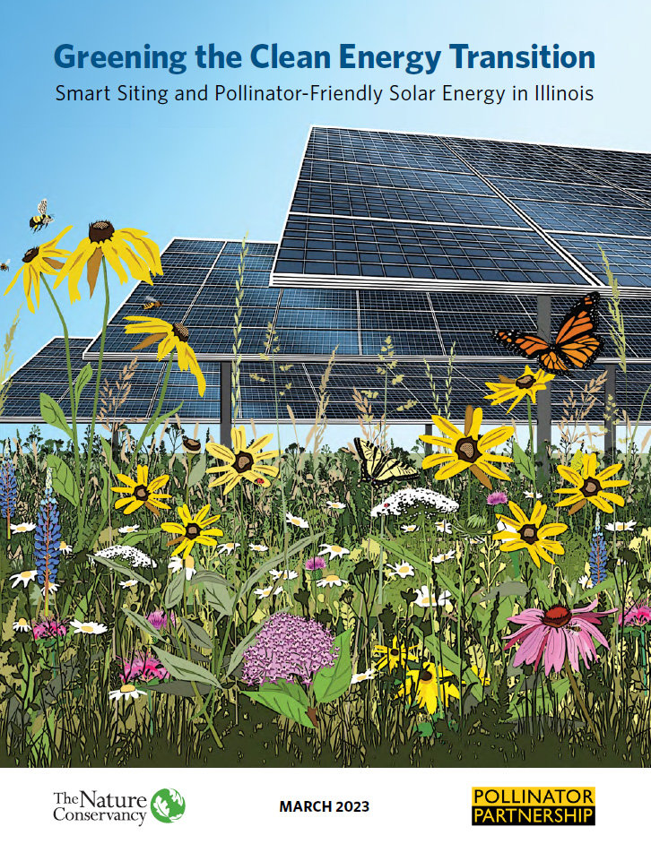 Cover of Illinois smart solar pollinator doc.