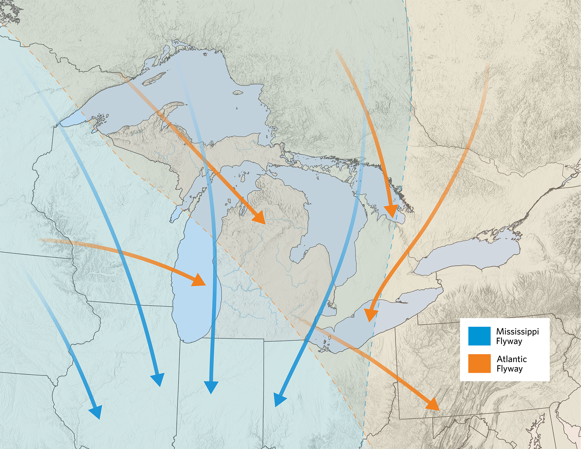 Migratory flyway map of Michigan outlining the Mississippi and Atlantic Flyways over the state. 