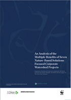 An Analysis of the Multiple Benefits of Seven Nature-Based Solutions Focused Corporate Watershed Projects