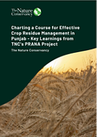 Policy breif cover with title and image of wheat