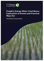 A policy brief from TNC's PRANA project exploring the drivers and practical ways out of Punjab's energy-water-food nexus.