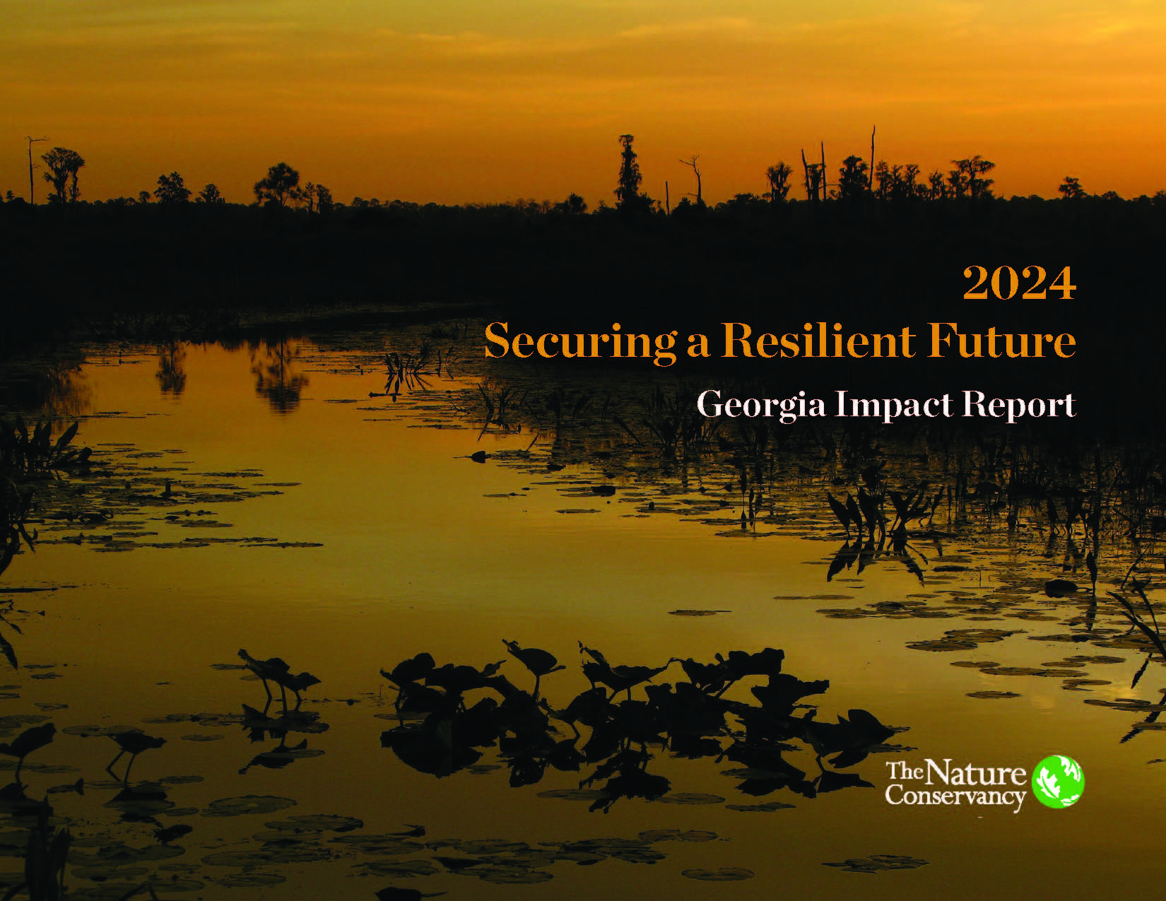 GA 2024 Impact Report Cover.