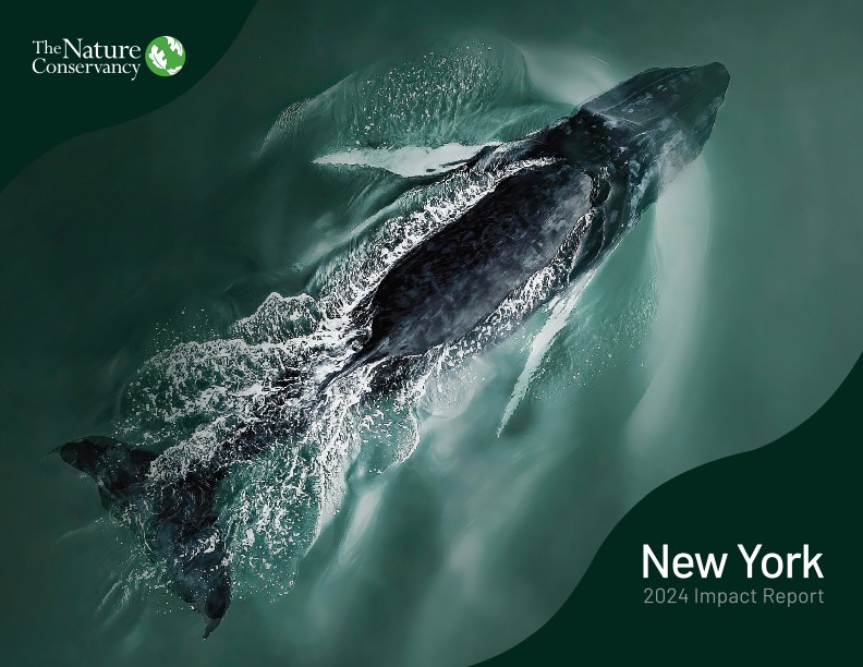 With your support, we’re creating a livable climate, healthy communities and thriving nature for all.

