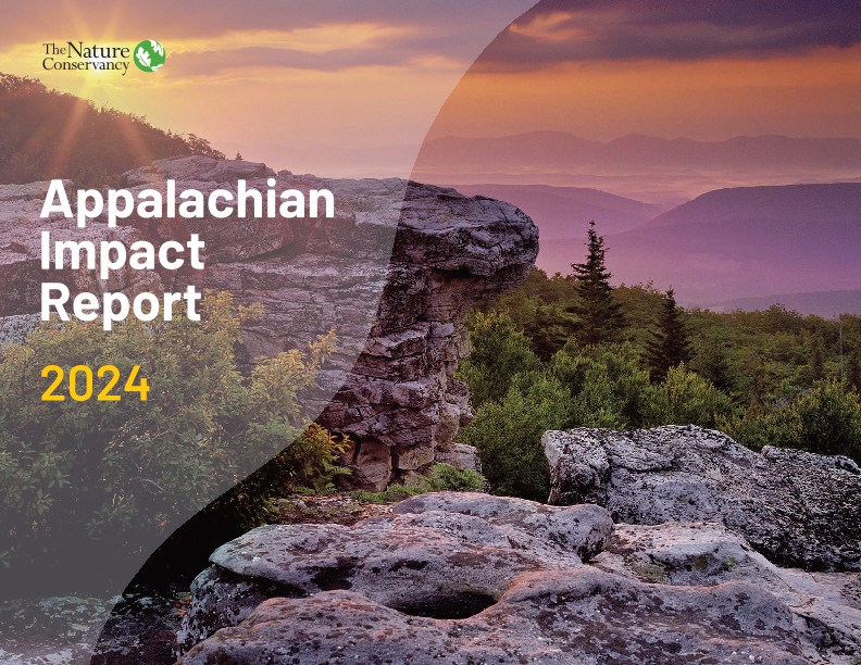 Cover page of the 2024 Appalachian Impact Report.