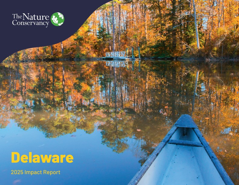 The cover of the Impact Report.