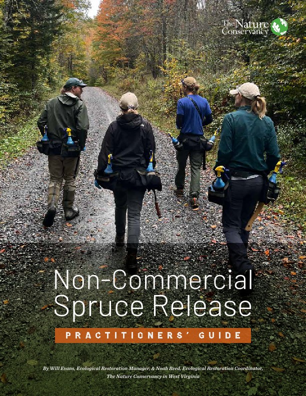 Practitioner's Guide