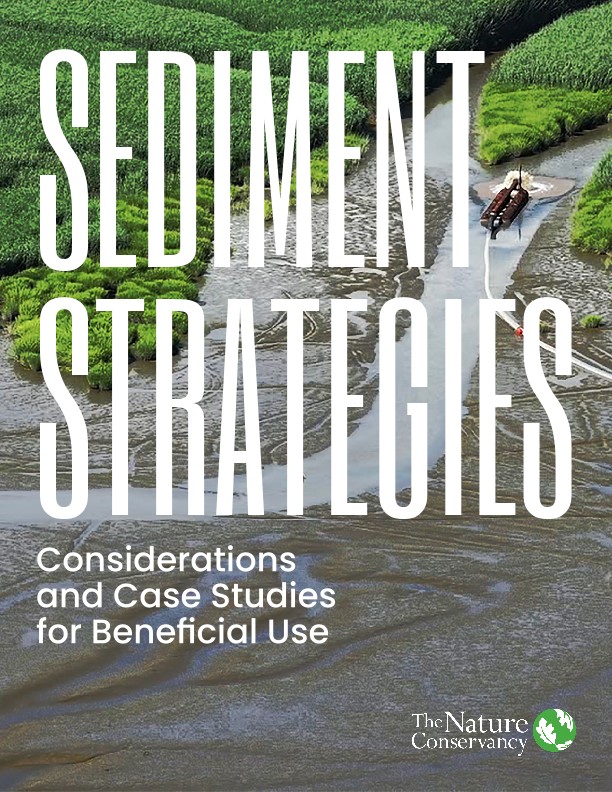 Cover of the Sediment Strategies document.