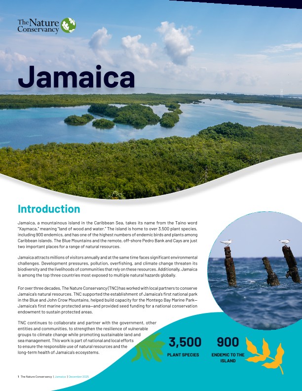 Thumbnail of the cover of Jamaica Factsheet. 