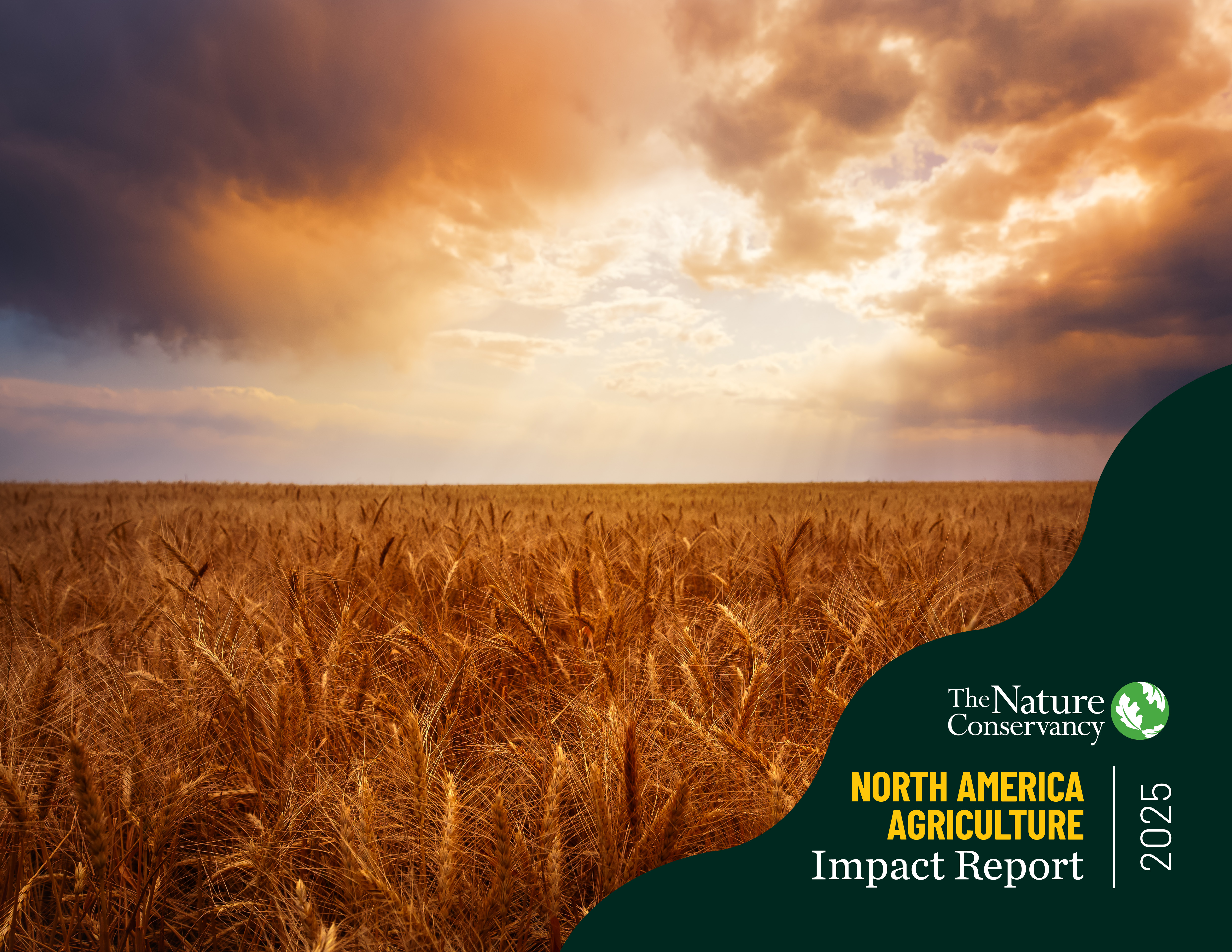 Cover of the 2025 impact report.