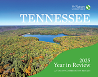 Aerial photo of the Appalachians during the fall.