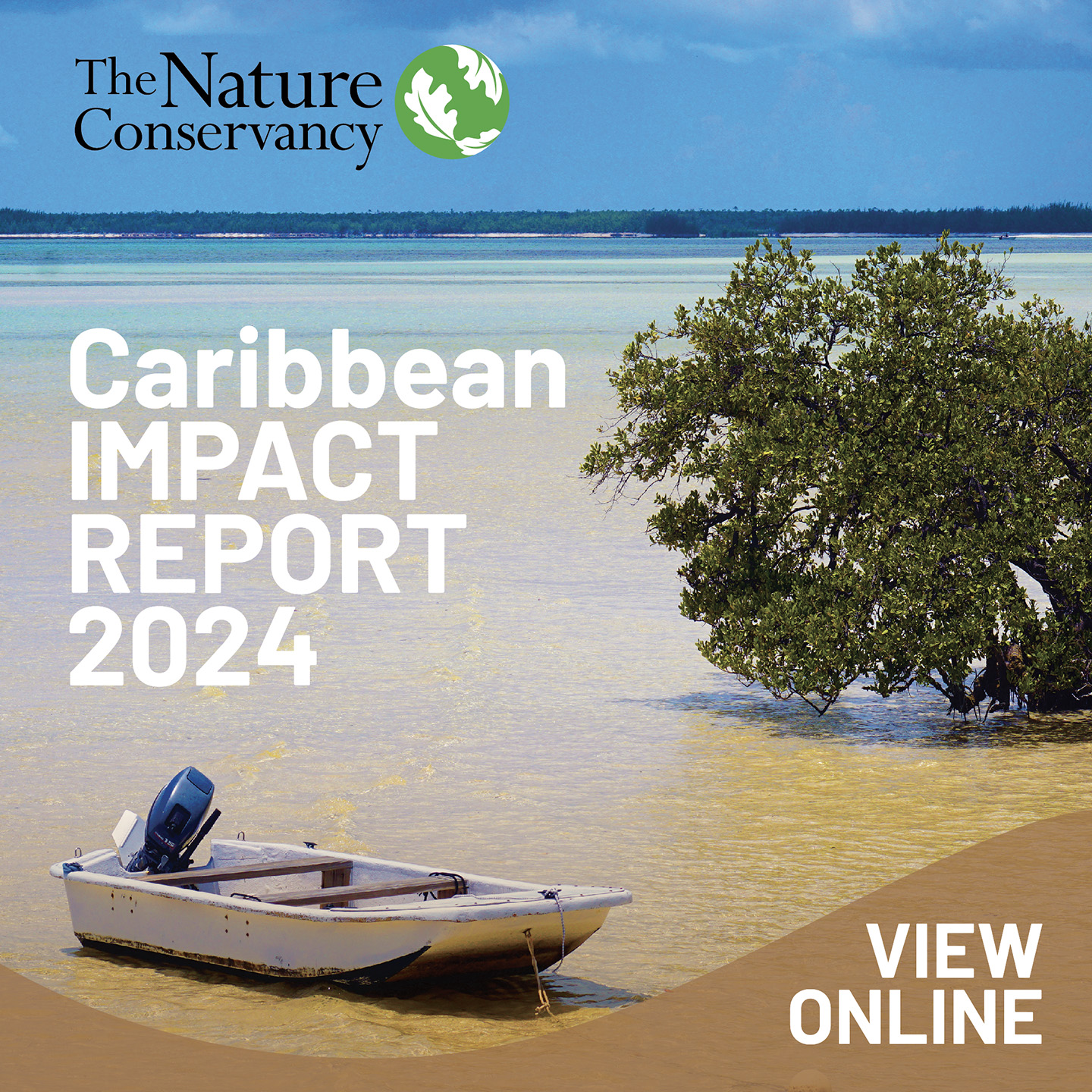 Cover of the Caribbean Impact Report.