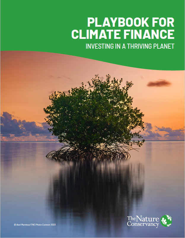 2025 Update of the Playbook for Climate Finance