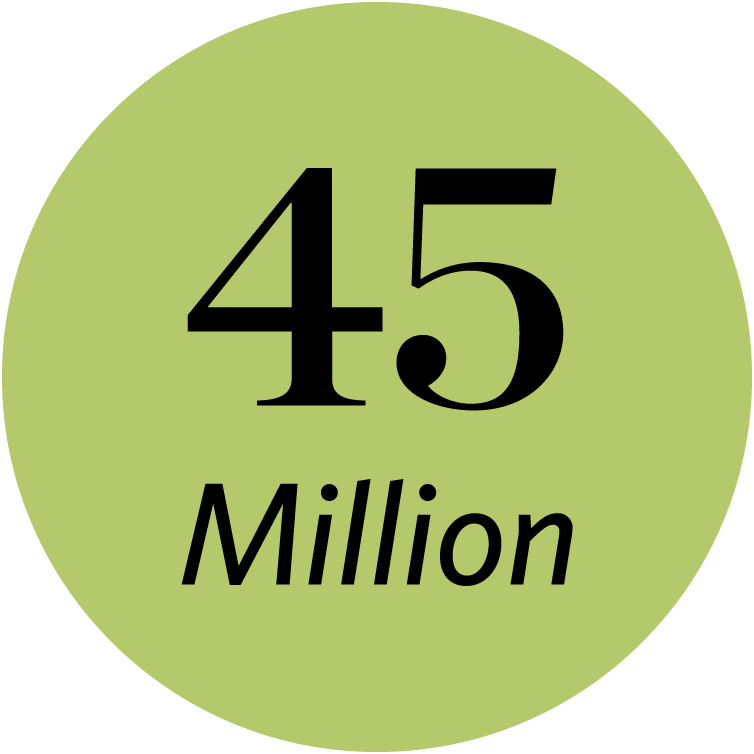 A green circle with the words 45 million in black text in the center.