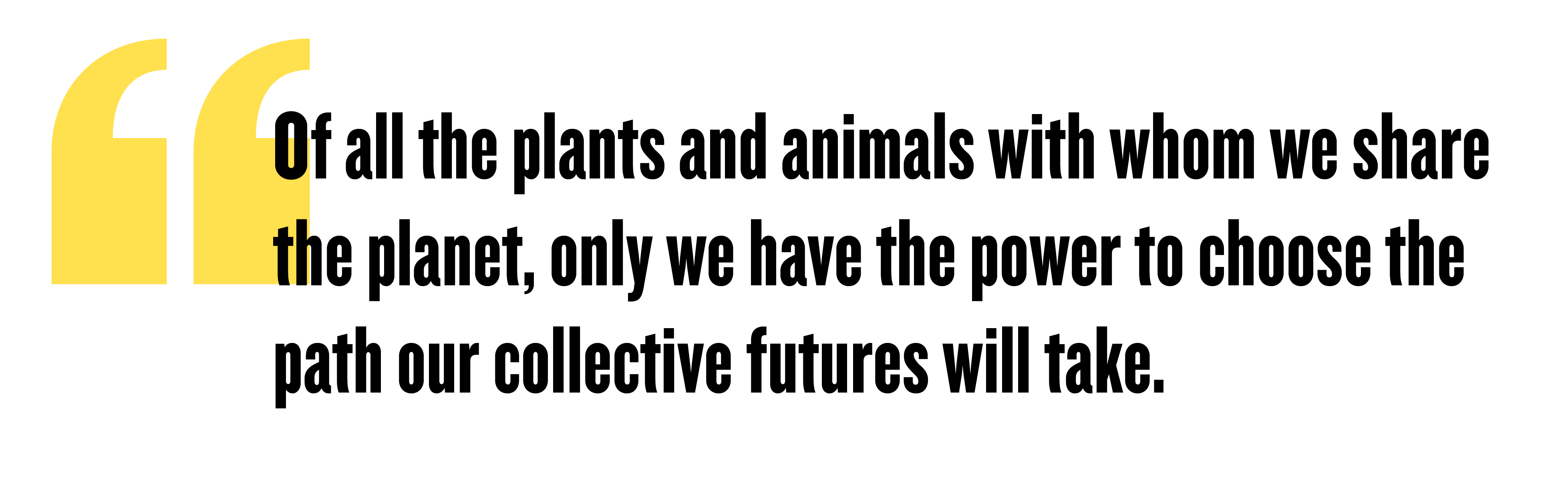 Quote that reads, Of all the plants and animals with whom we share the planet, only we have the power to choose the path our collective futures will take.