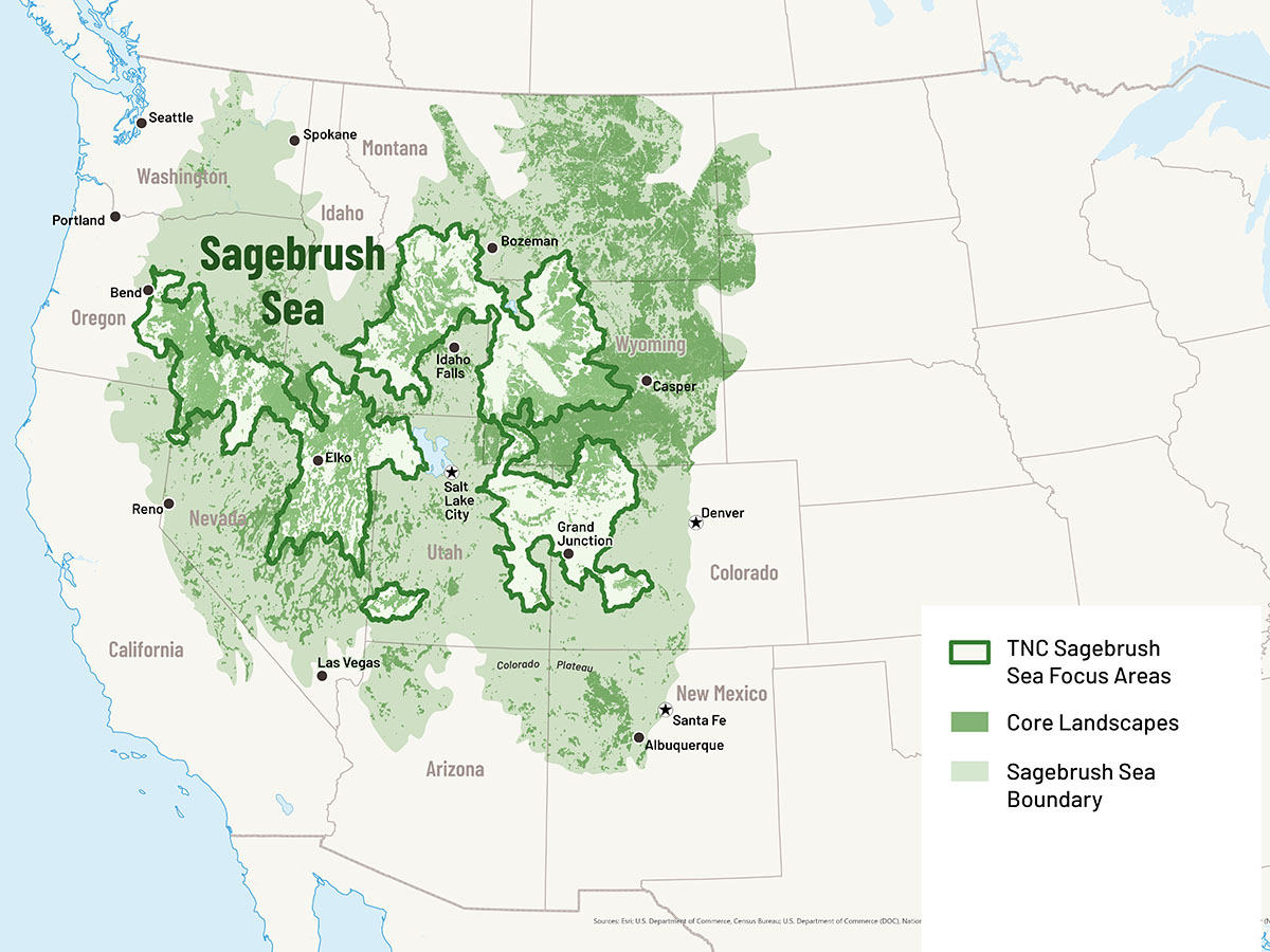 Map showing the current range of Sagebrush Sea.