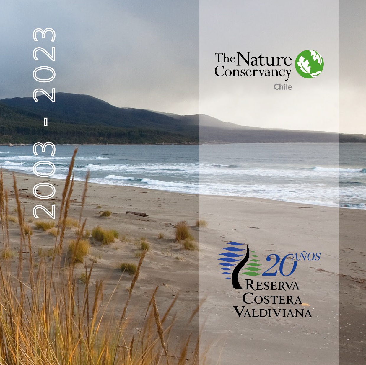 Book cover portraying part of the Chaihuin beach at the Valdivian Coastal Reserve. 