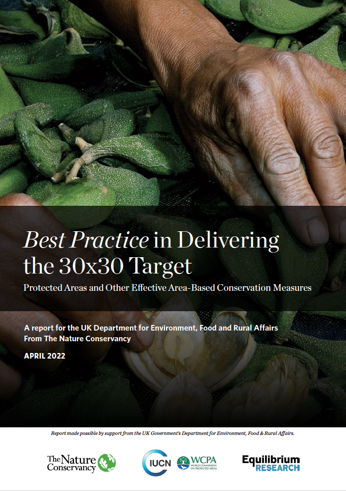photo of hands sorting through green seed pods
