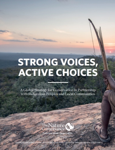 Report Cover - Strong Voices, Active Choices (2016).
