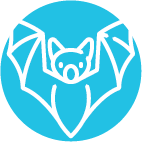 Graphic of a bat.