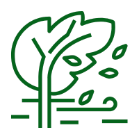 A green icon of a tree bending in the wind with wind lines underneath and four leaves blowing off the tree.