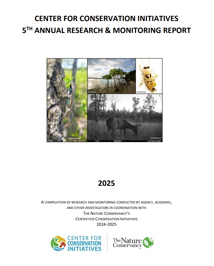 CCI Research and Monitoring Report 2025 title page.