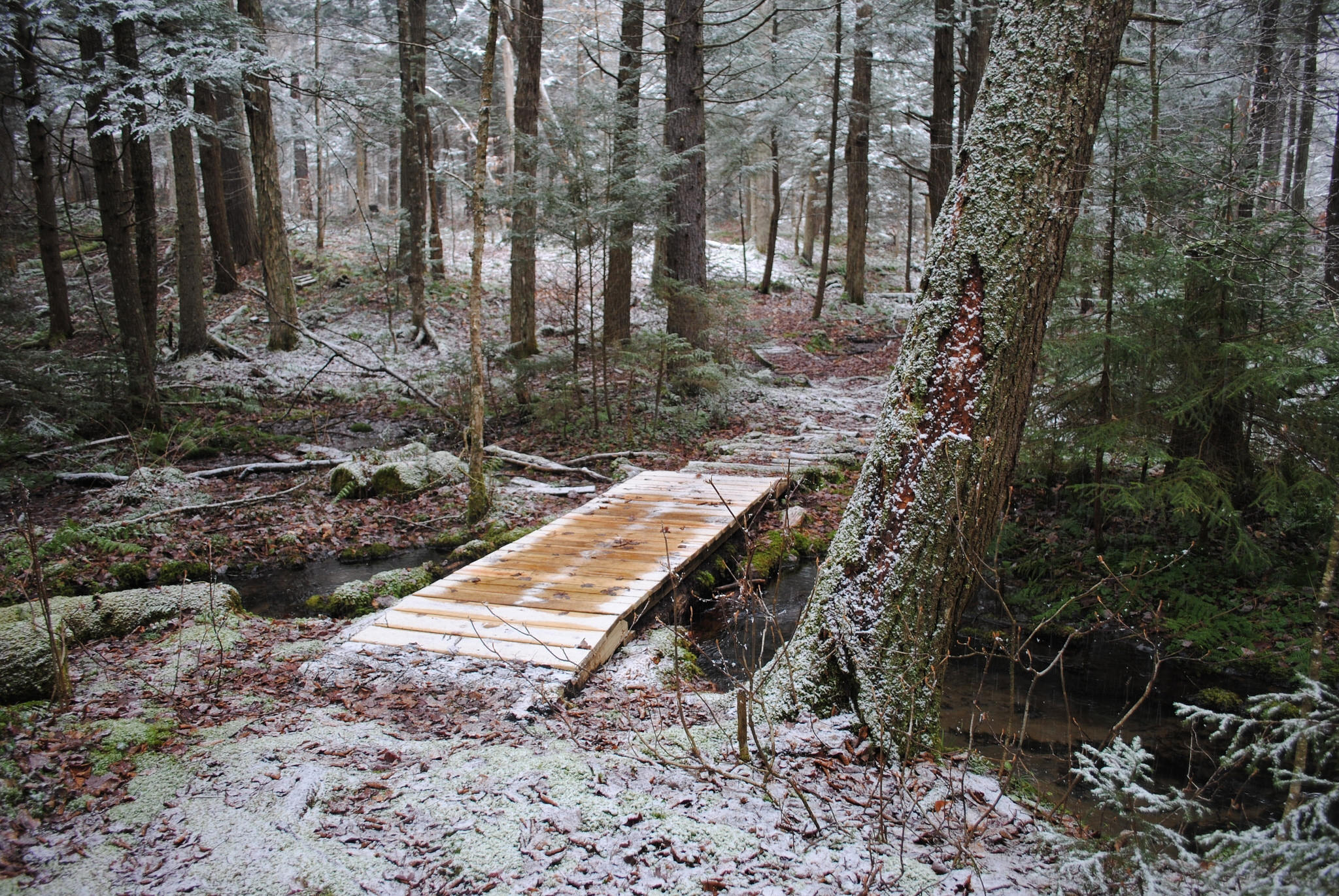 A dusting of snow covers a wooden bridge connecting a path through a forest.