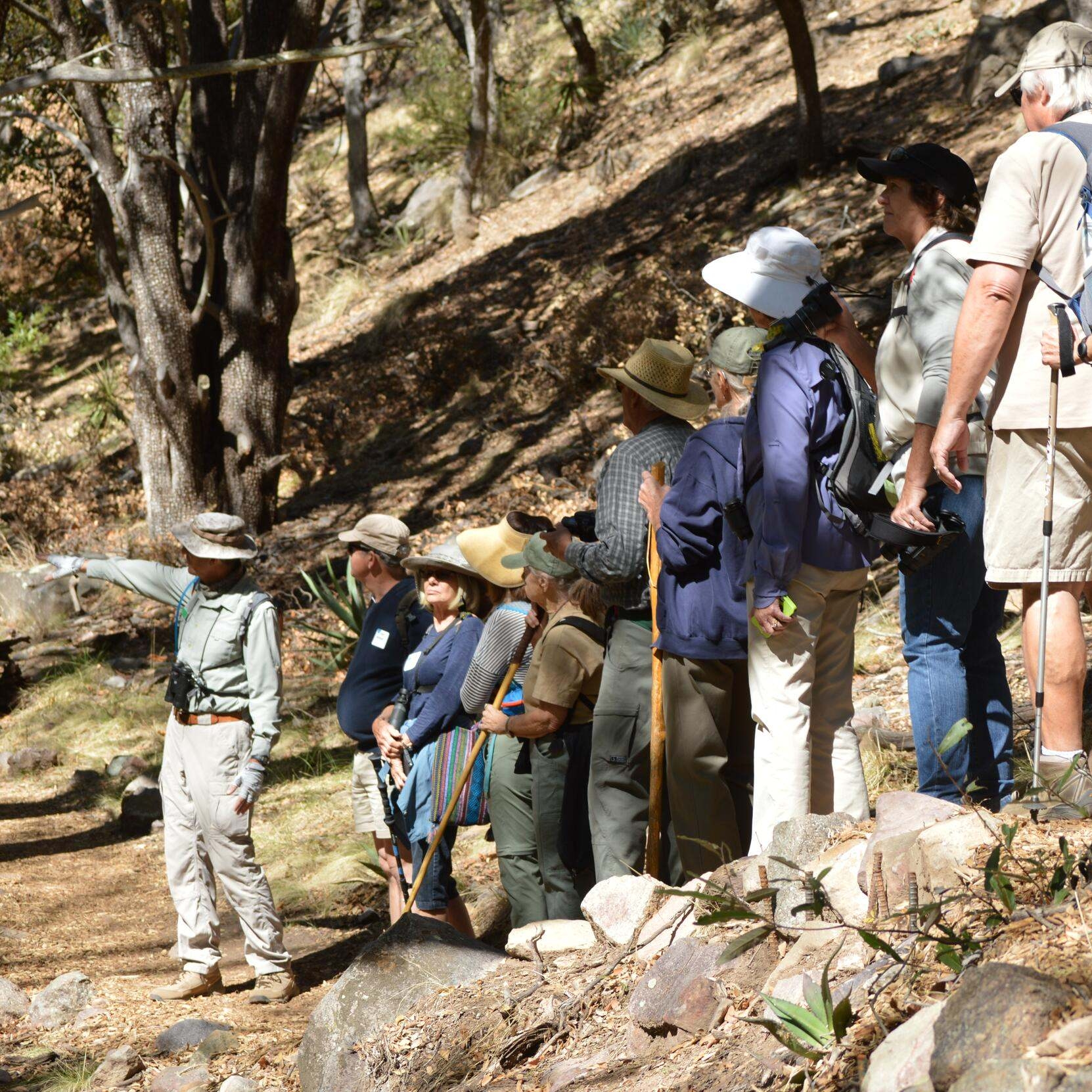 A group a hikers stand in a single-file line with the guide points in the direction ahead.