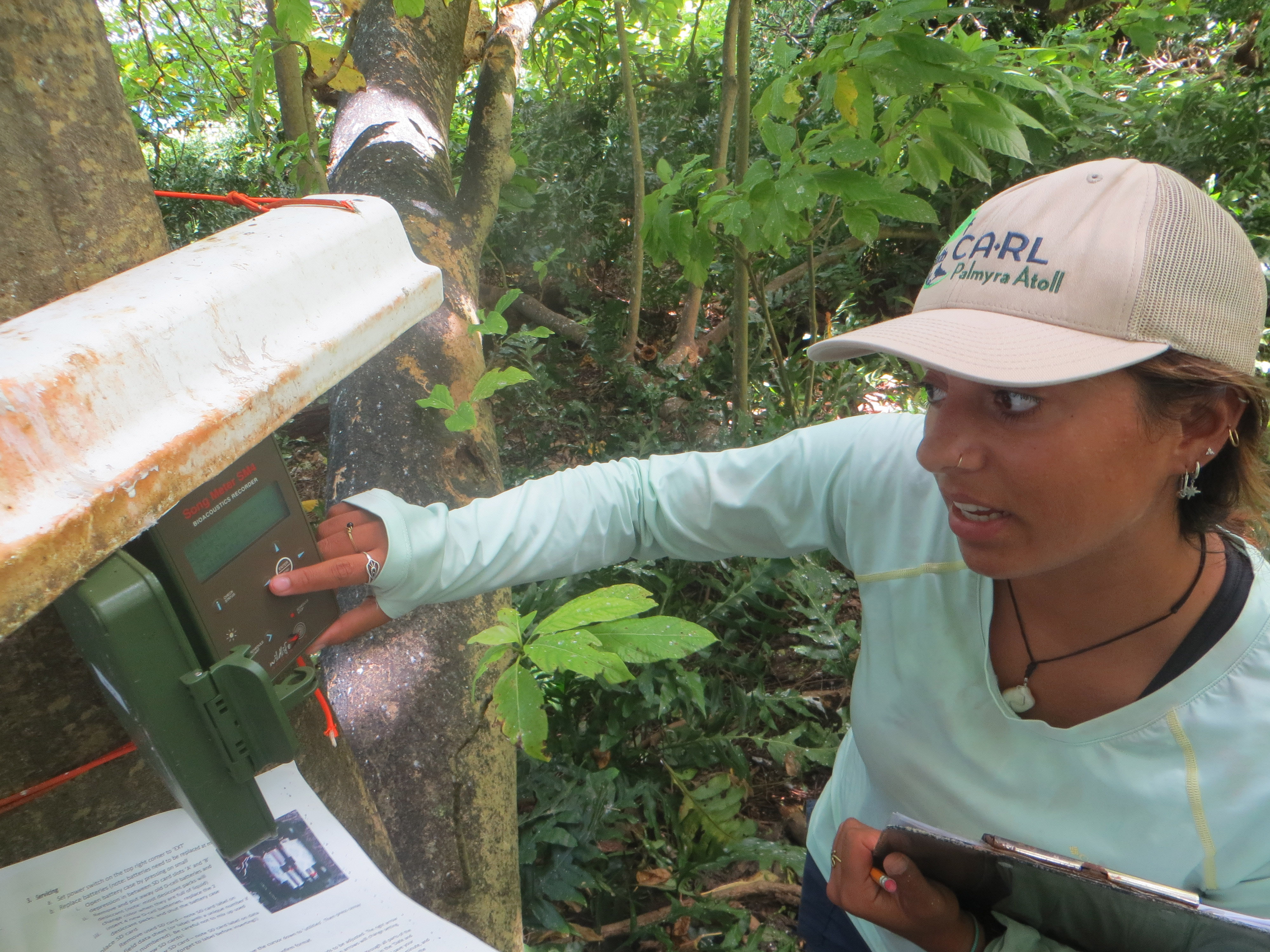 Conservation Science Volunteer servicing a Song Meter.