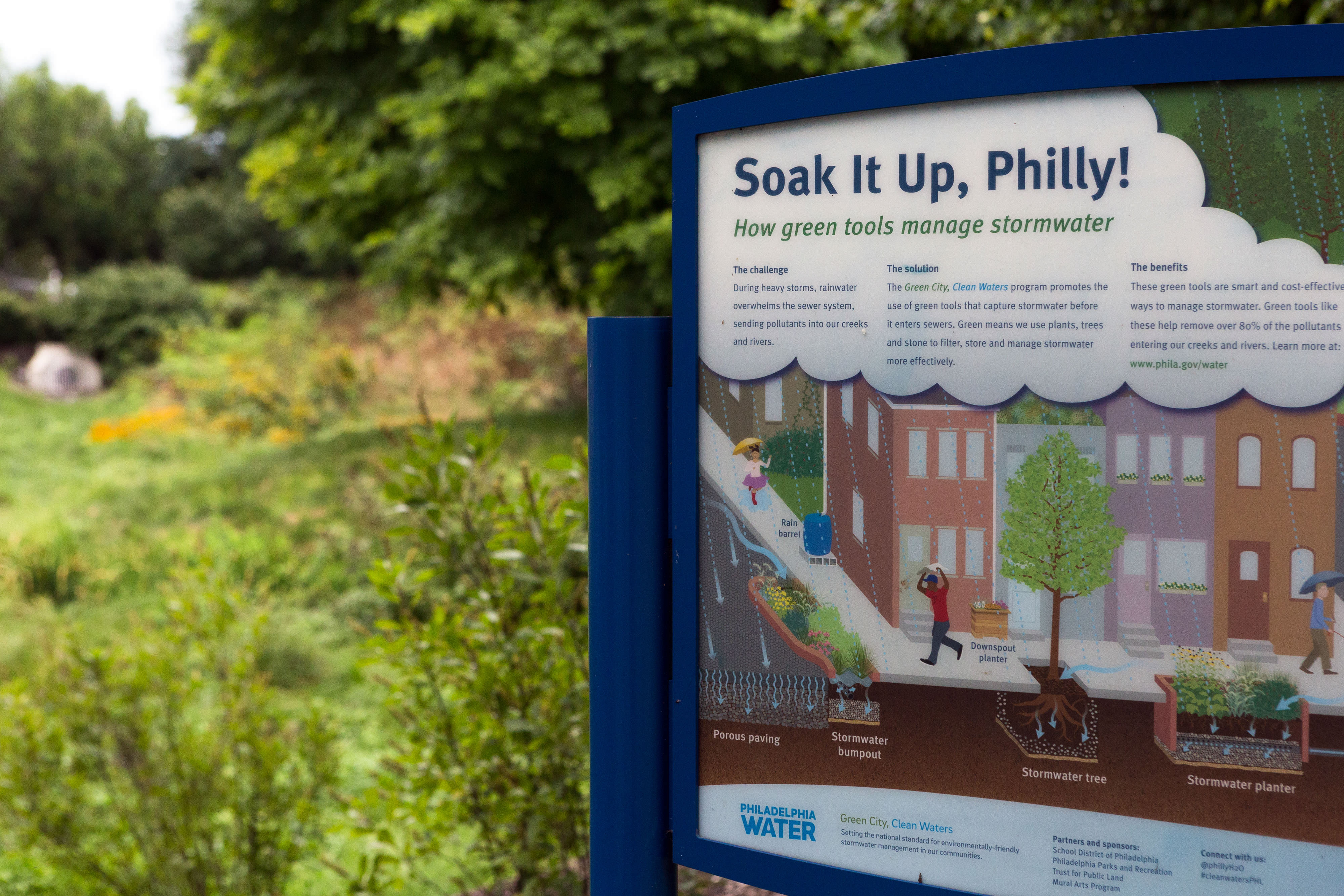 A sign with a graphic about rain gardens sits in front of a rain garden in Philadelphia. 