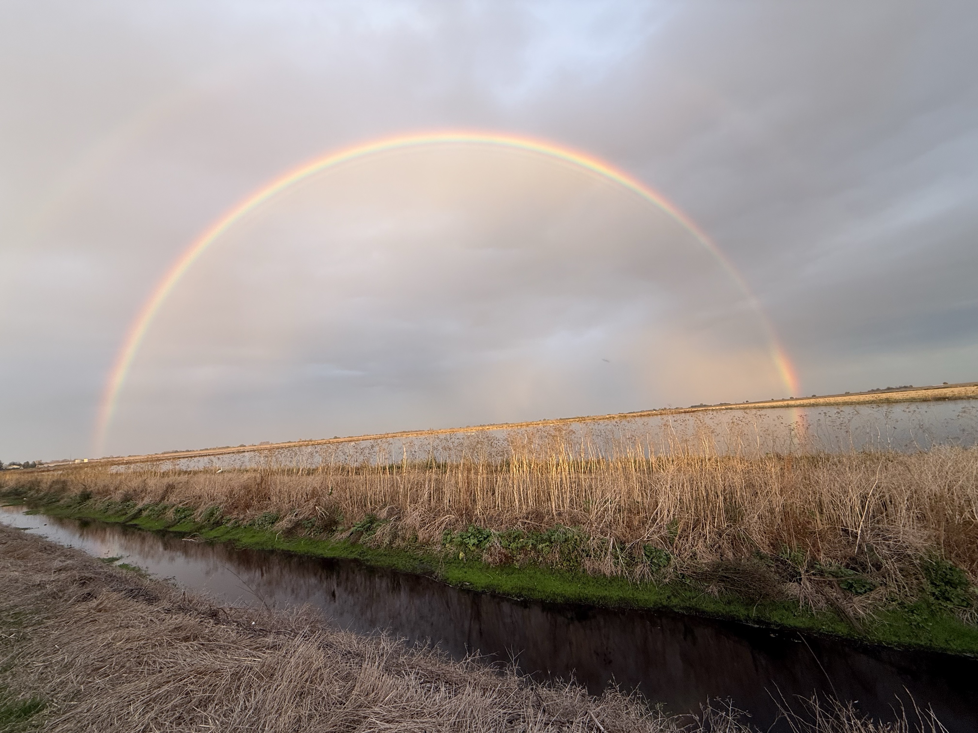 A complete rainbow over wetlands at the Staten Island Preserve.