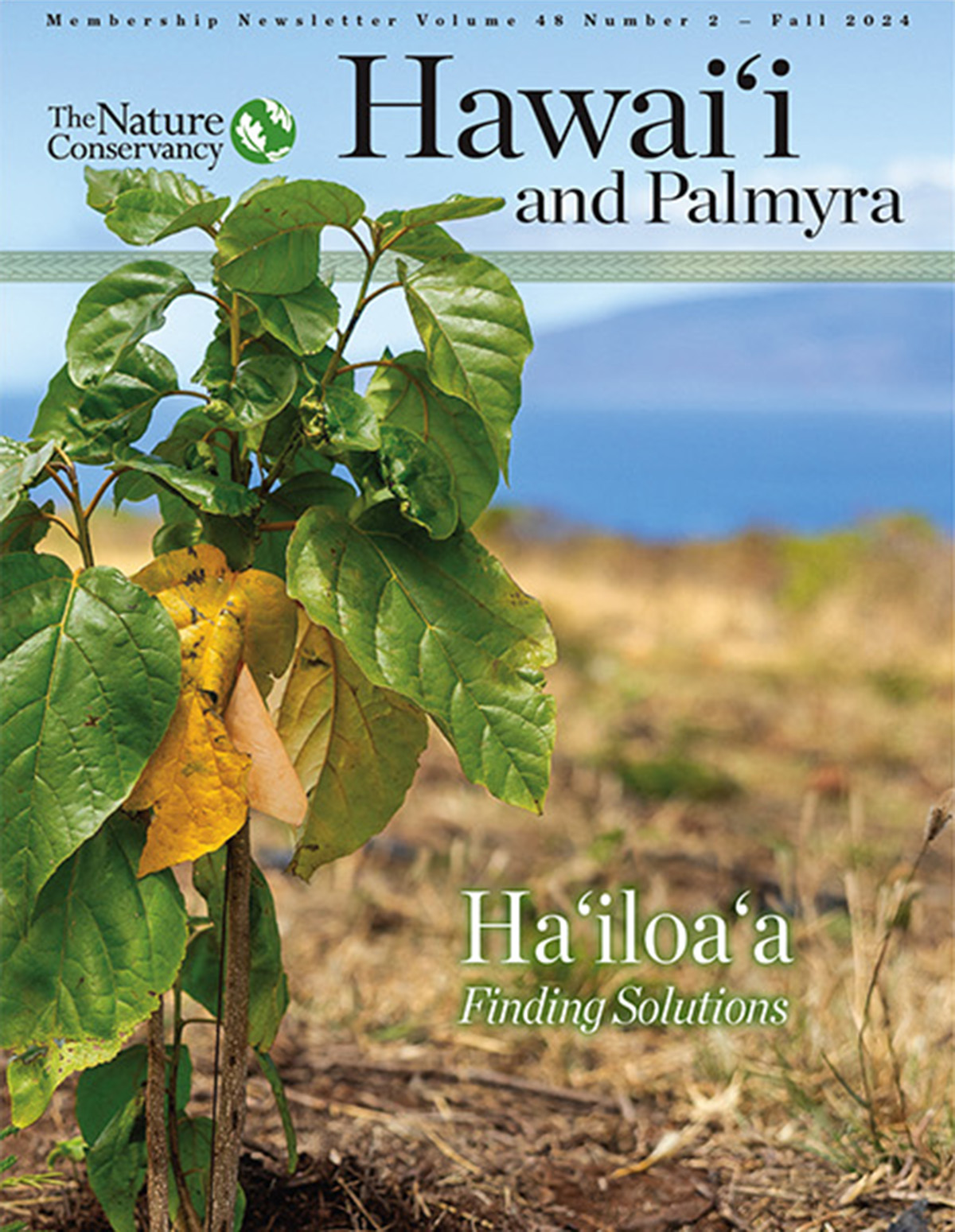 Cover of the 2024 Hawai'i and Palmyra fall newsletter.