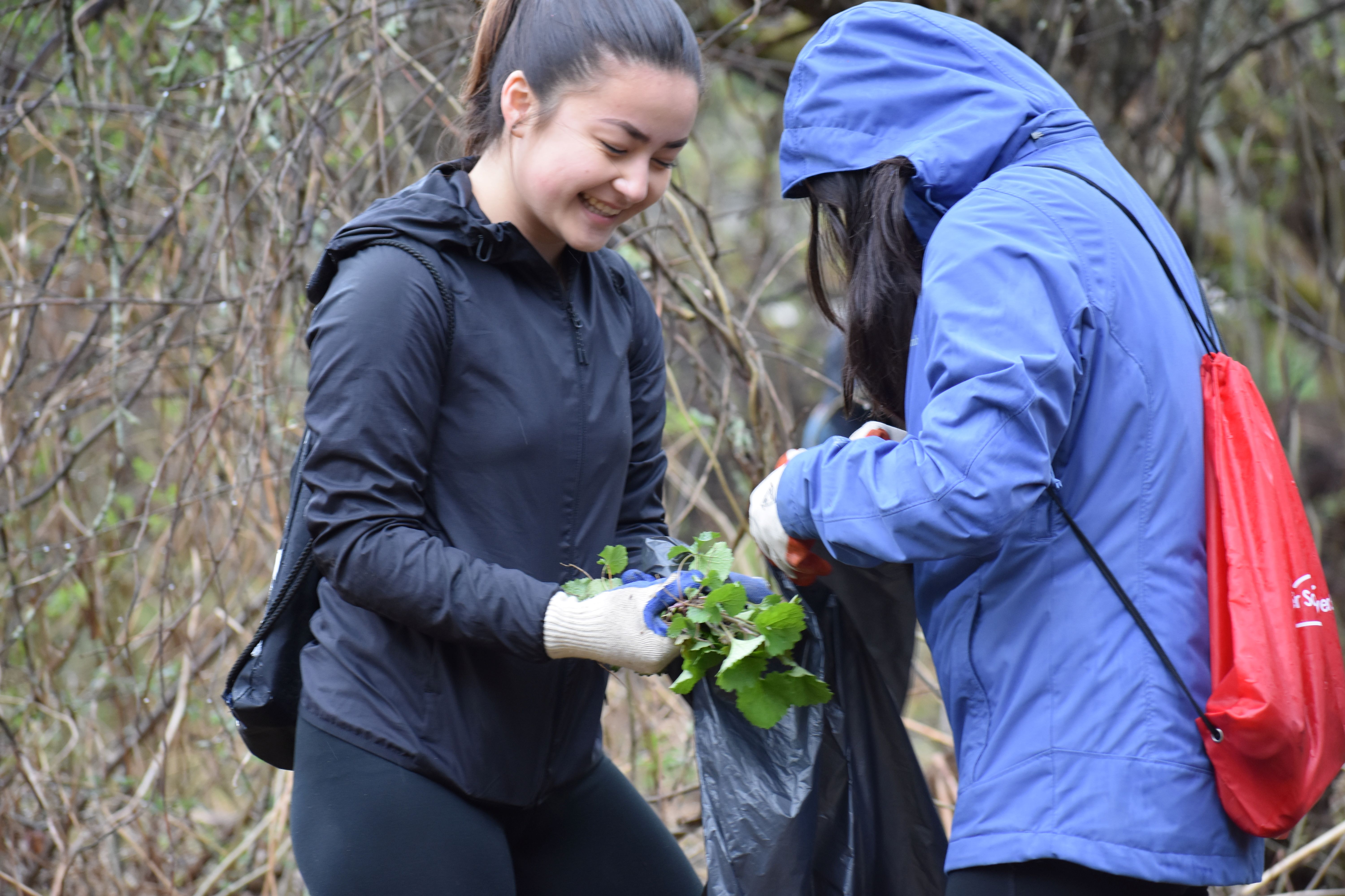 Two people put a green plant in a trash bag.