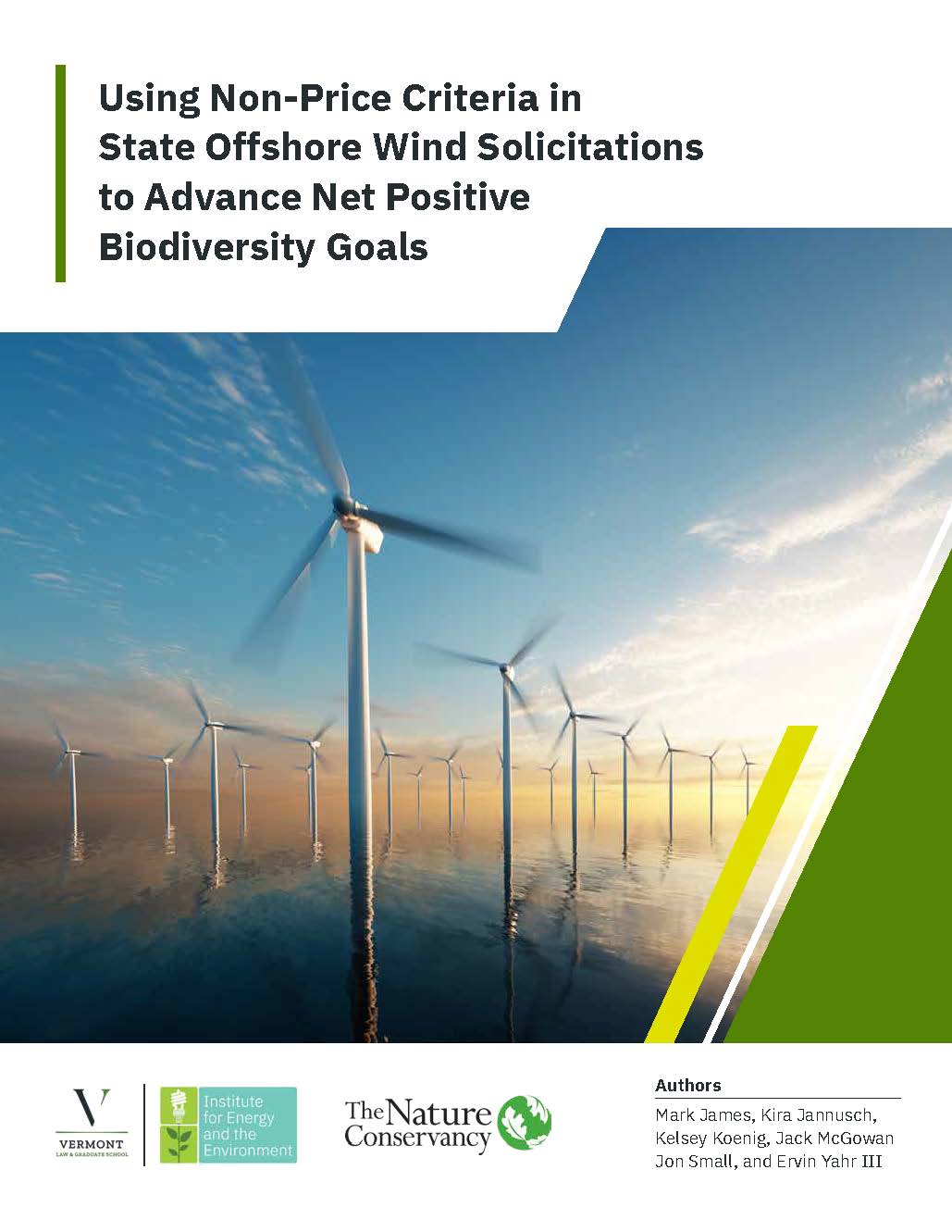 Using Non-Price Criteria in State Offshore Wind Solicitations to Advance Net Positive Biodiversity Goals