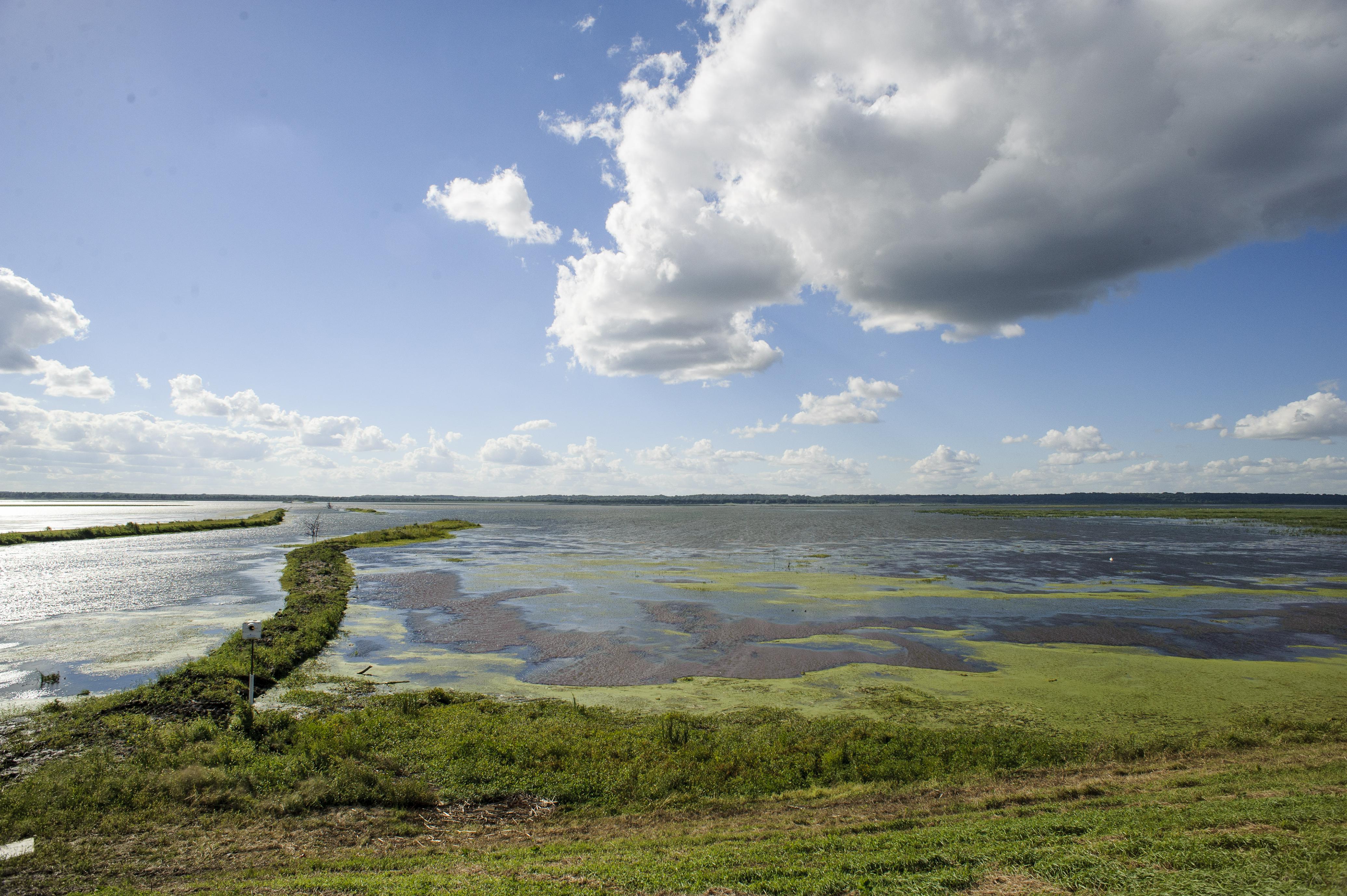 A view over Emiquon showing water covering former fields with scrubby vegetation showing on the remaining banks.