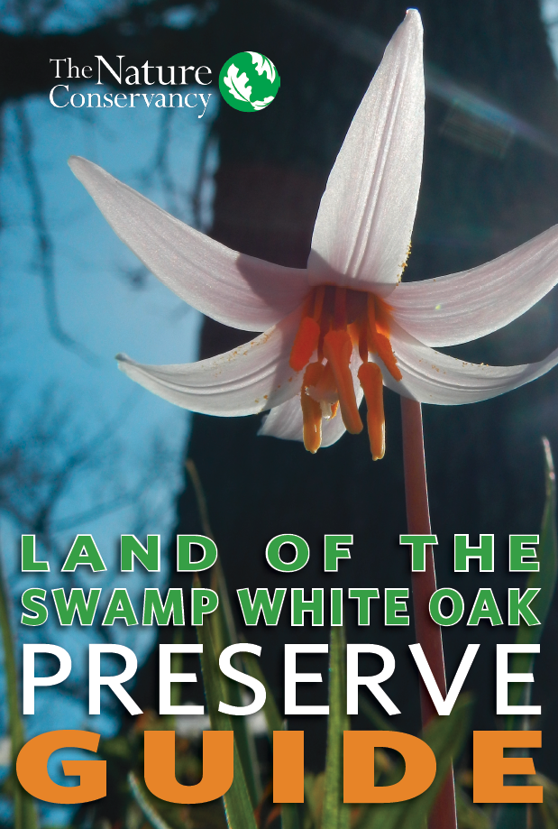 Land of Swamp White Oak guidebook cover.