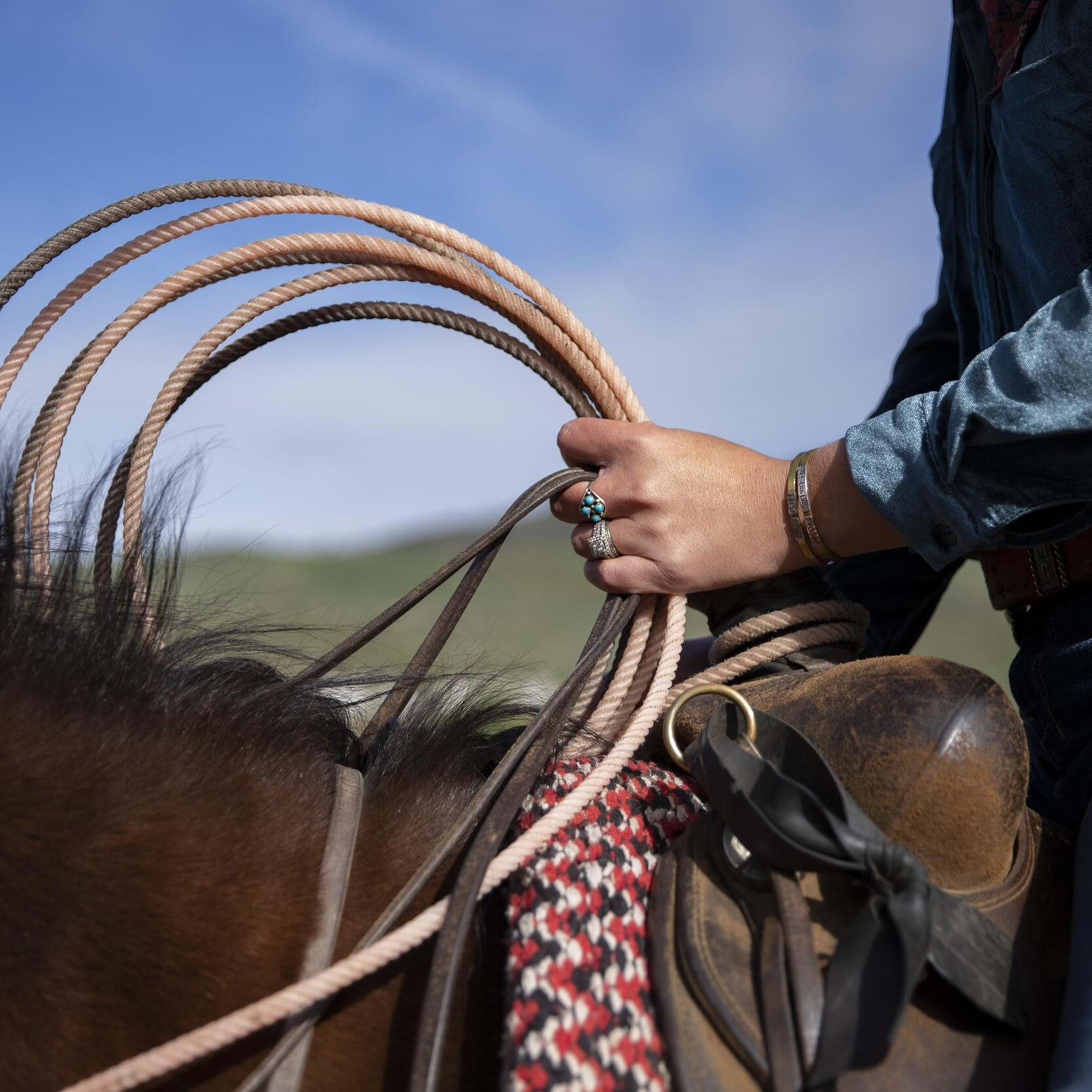 Close up of a woman holding the reins of a horse.