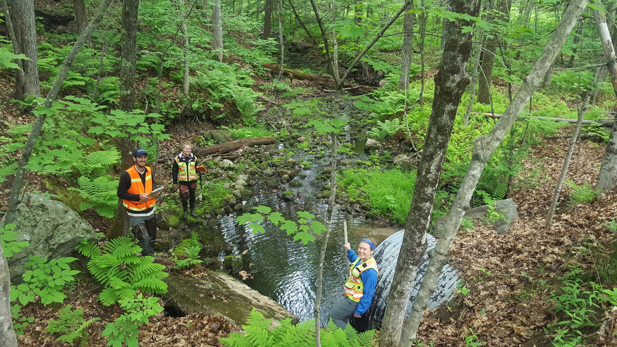 Three people stand near a creek in a forest.