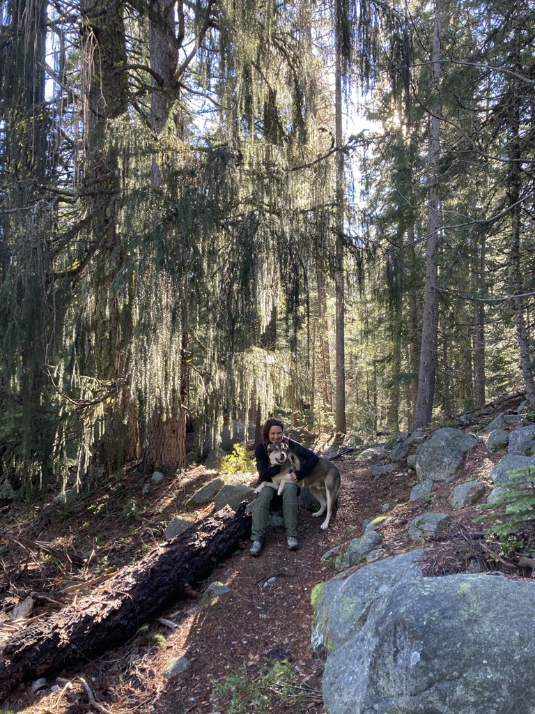 Molly Breitmun with her dog Toby underneath their favorite Brewer’s spruce on the Miracle Mile.