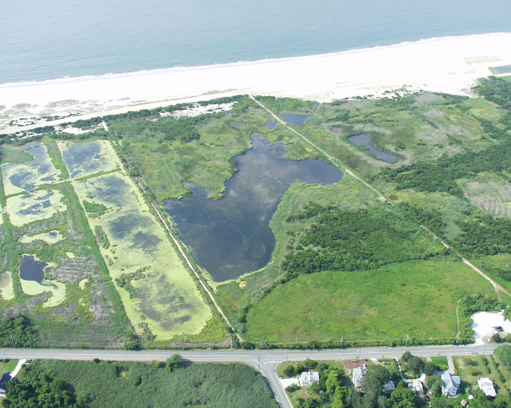 South Cape May Meadows from above.