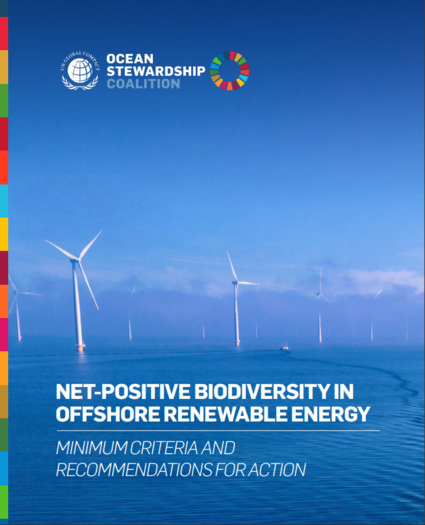 Net-Positive Biodiversity in Offshore Renewable Energy: Minimum Criteria and Recommendations for Action