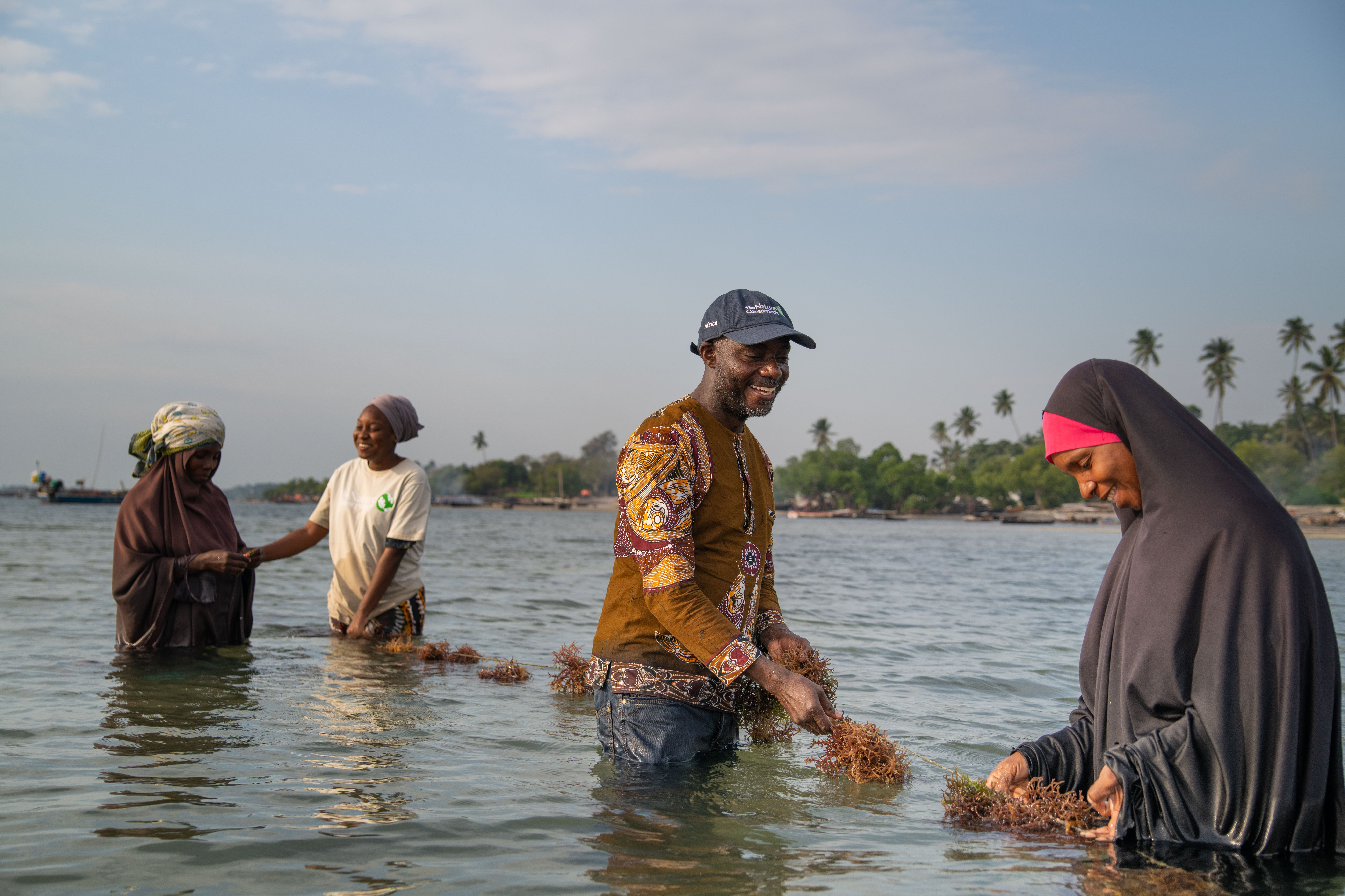 Several people stand waist-deep in water and hold seaweed.