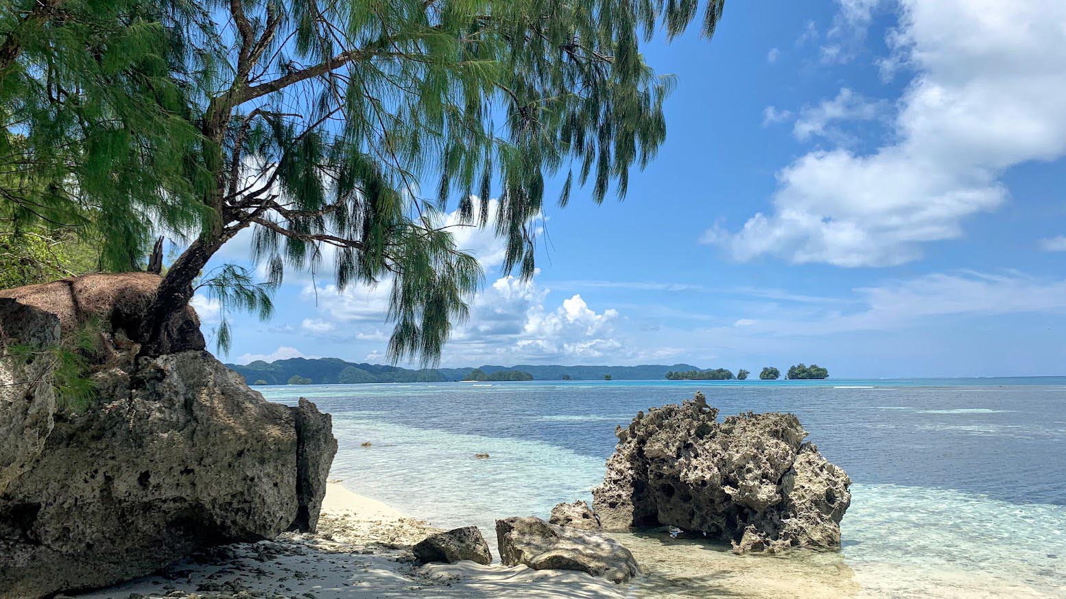 Crystalline blue waters in the Republic of Palau as viewed from a beach.