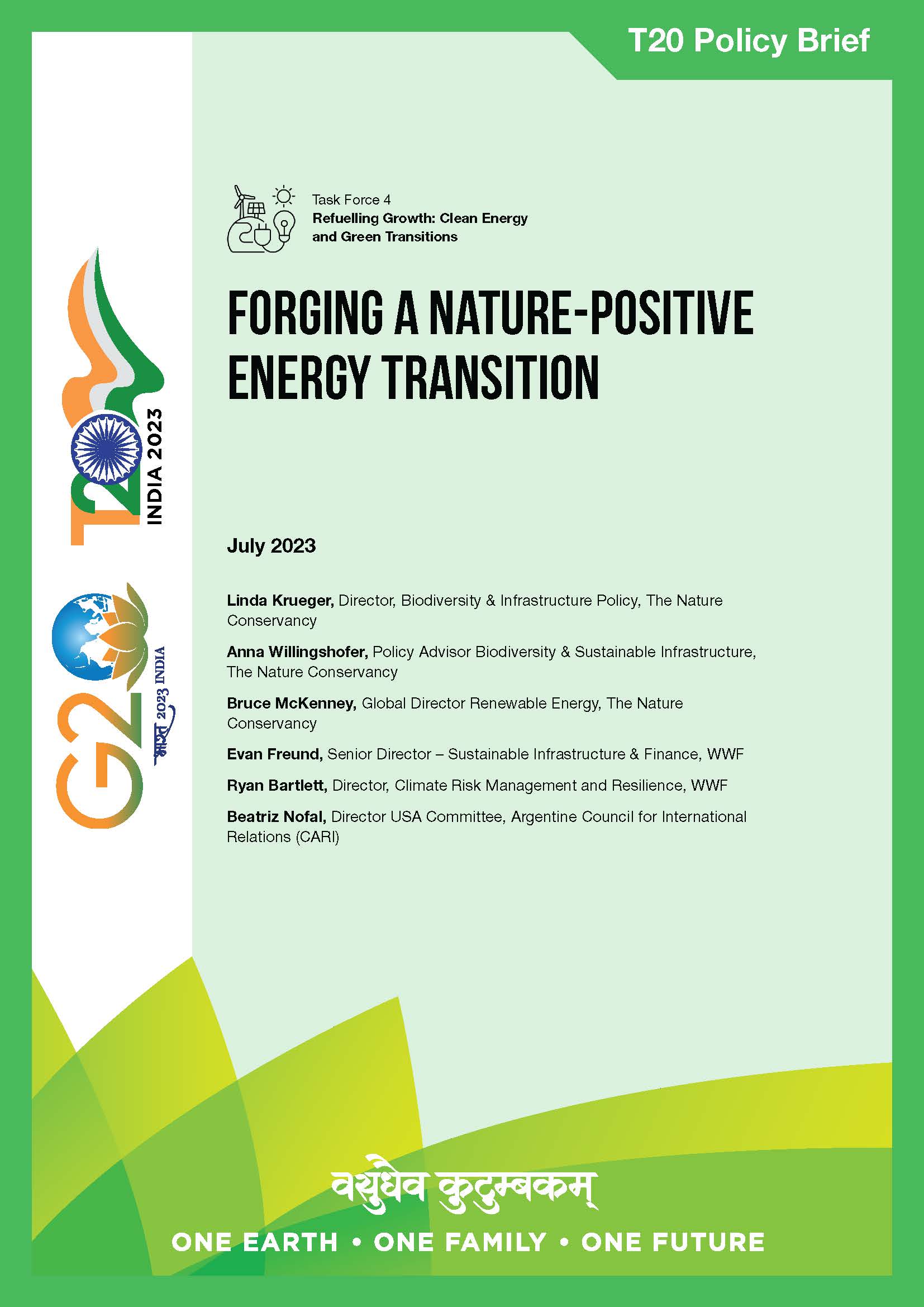 Forging  Nature-Positive Energy Transition