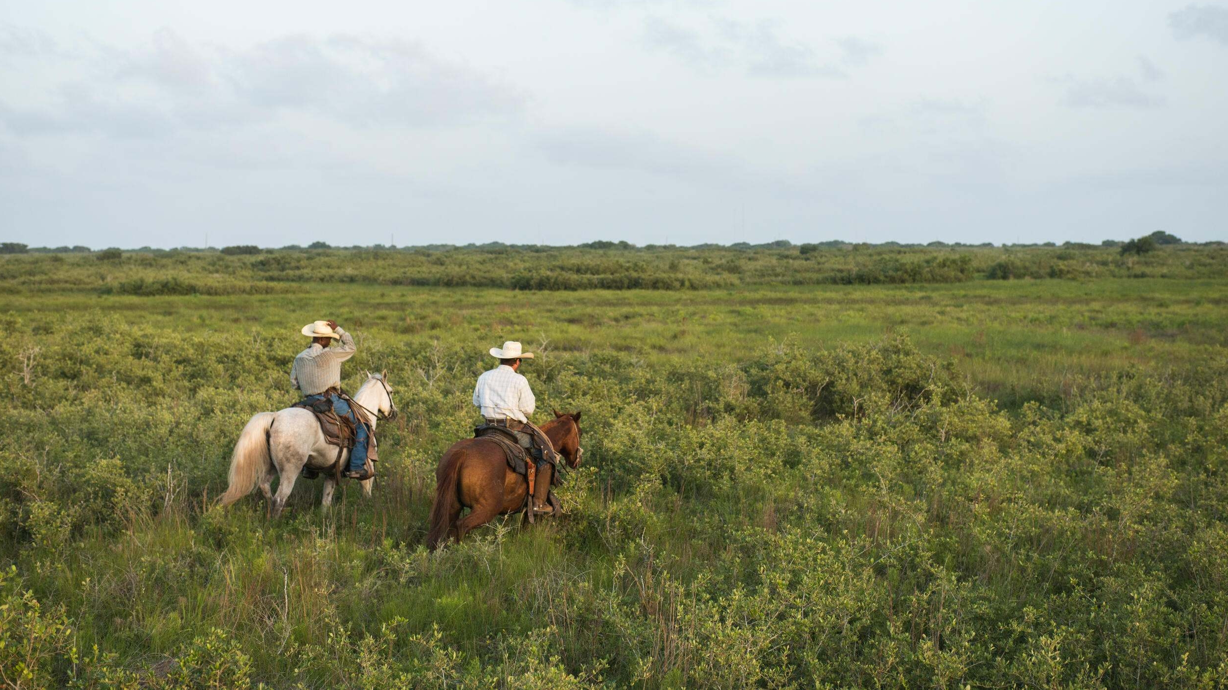 Two people on horseback ride through tall grasses across a wide field.