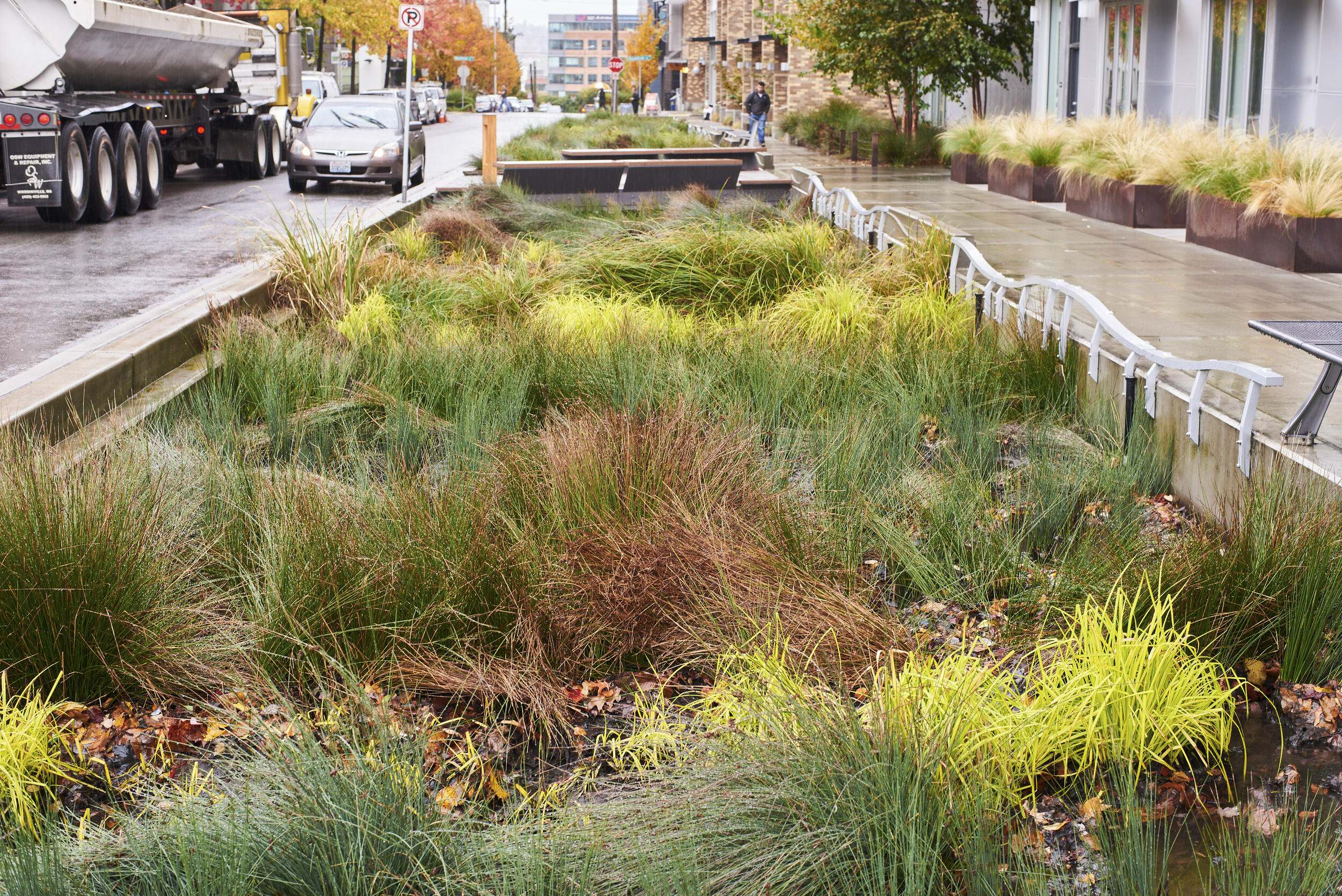 A wide swath of green runs along the edge of a city sidewalk.
