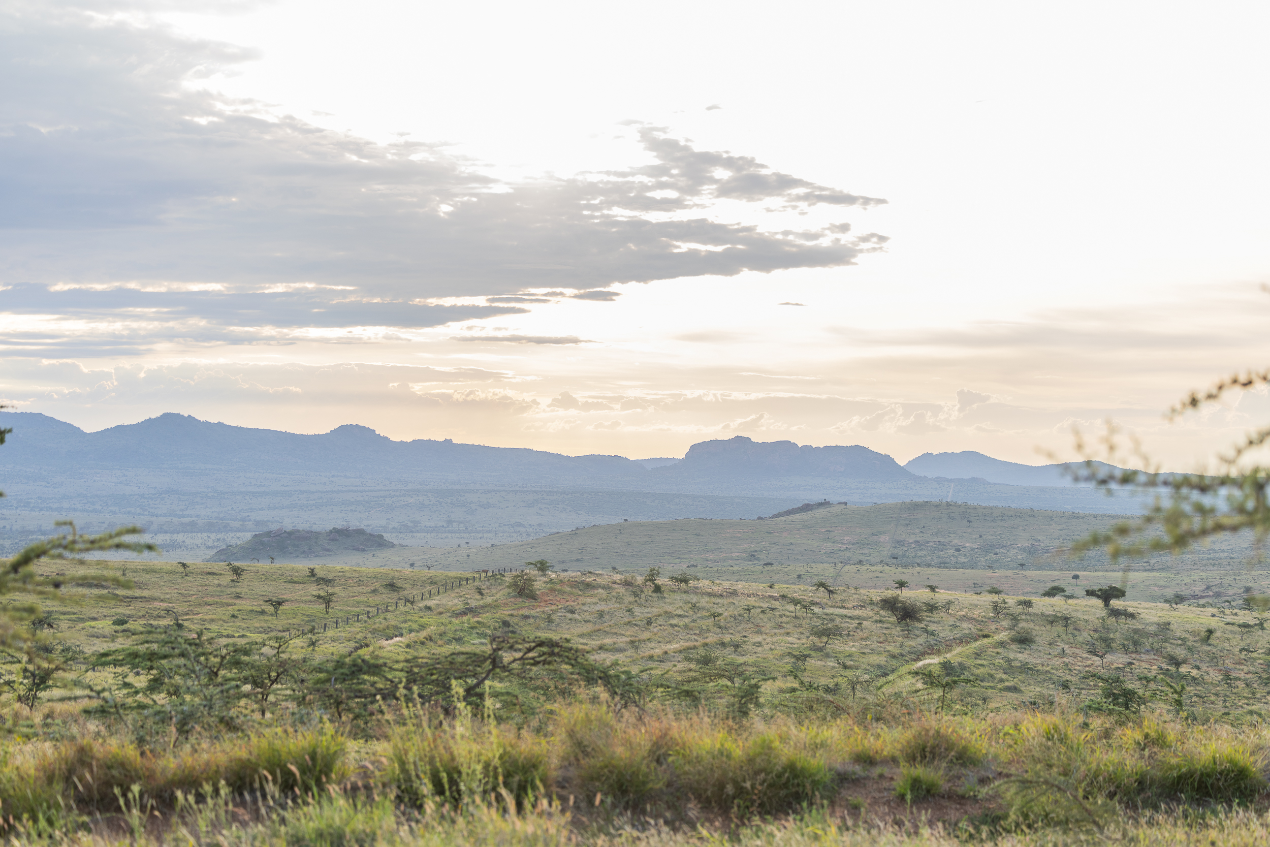 Landscape view of a vast green plain with rolling hills and mountains in the distance.